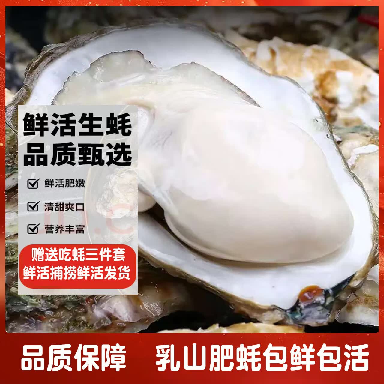 鲜活乳山生蚝新鲜牡蛎海蛎子5斤箱 3XL中蚝（11-16只每箱）净重5斤生蚝