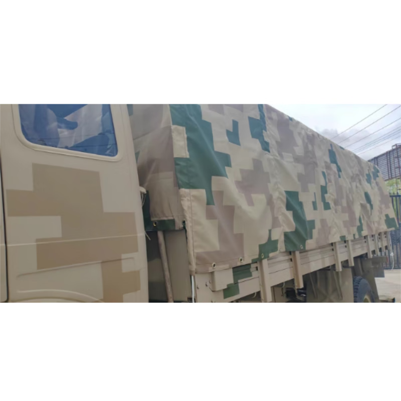车衣市场：汽车保护的新风尚