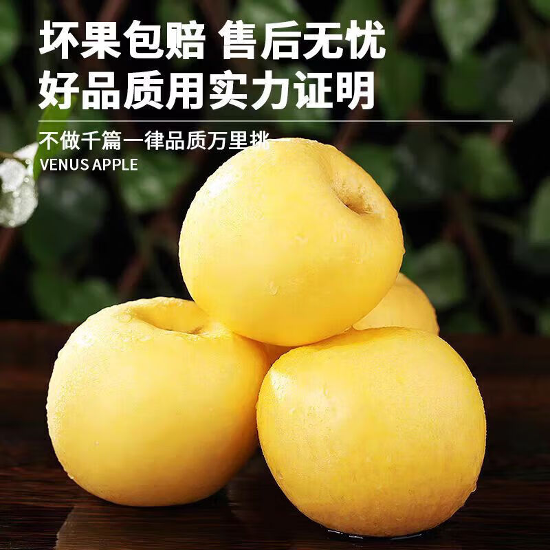 秦悦仙果鲜正宗山东黄金 维纳斯苹果 水果奶油新鲜整箱送礼 极速达 净重4.5斤【单果140g+】丨甜