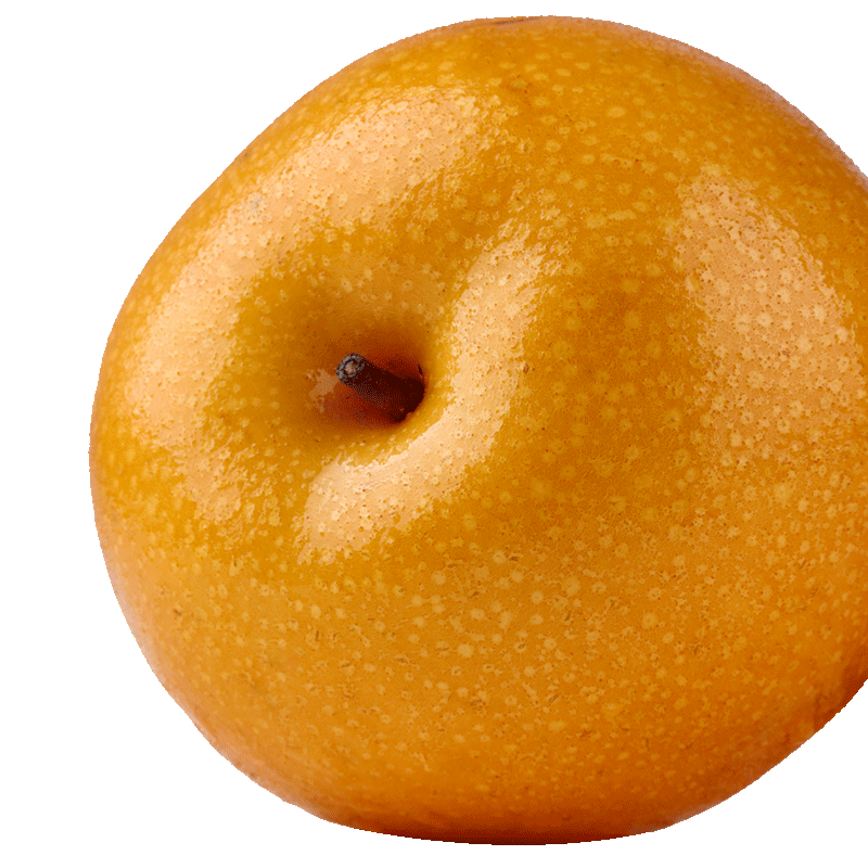 京鲜生山东烟台莱阳秋月梨净重5斤单果450g+ 生鲜水果 源头直发 包邮