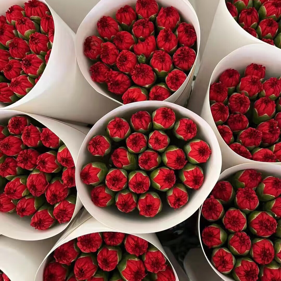 云南昆明基地鲜花康乃馨 母亲节礼物送妈妈 花瓶水养插花 红色康乃馨