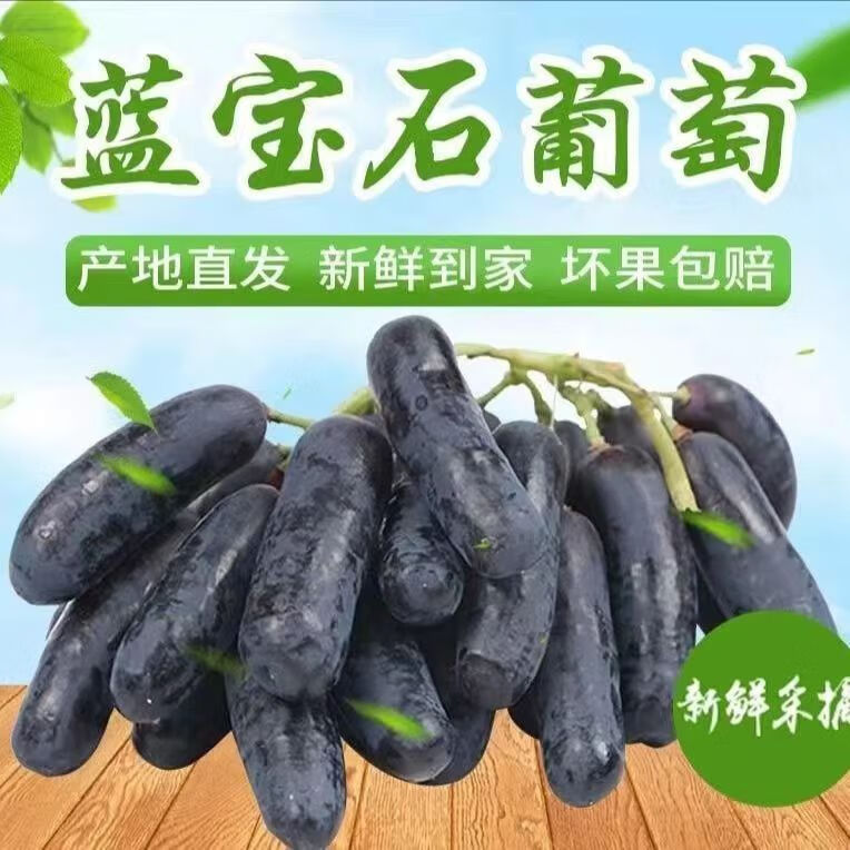 【顺丰上门】现摘蓝宝石葡萄酸甜可口水果泡沫箱气袋冰袋包装 顺丰上门蓝宝石4斤装