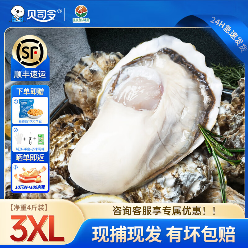 贝司令【鲜活】乳山生蚝海鲜特产贝类牡蛎烧烤3XL净重4斤 10-15只礼盒装