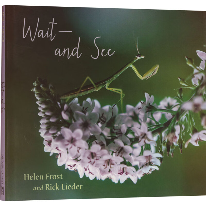 wait and see 等待之美 图书