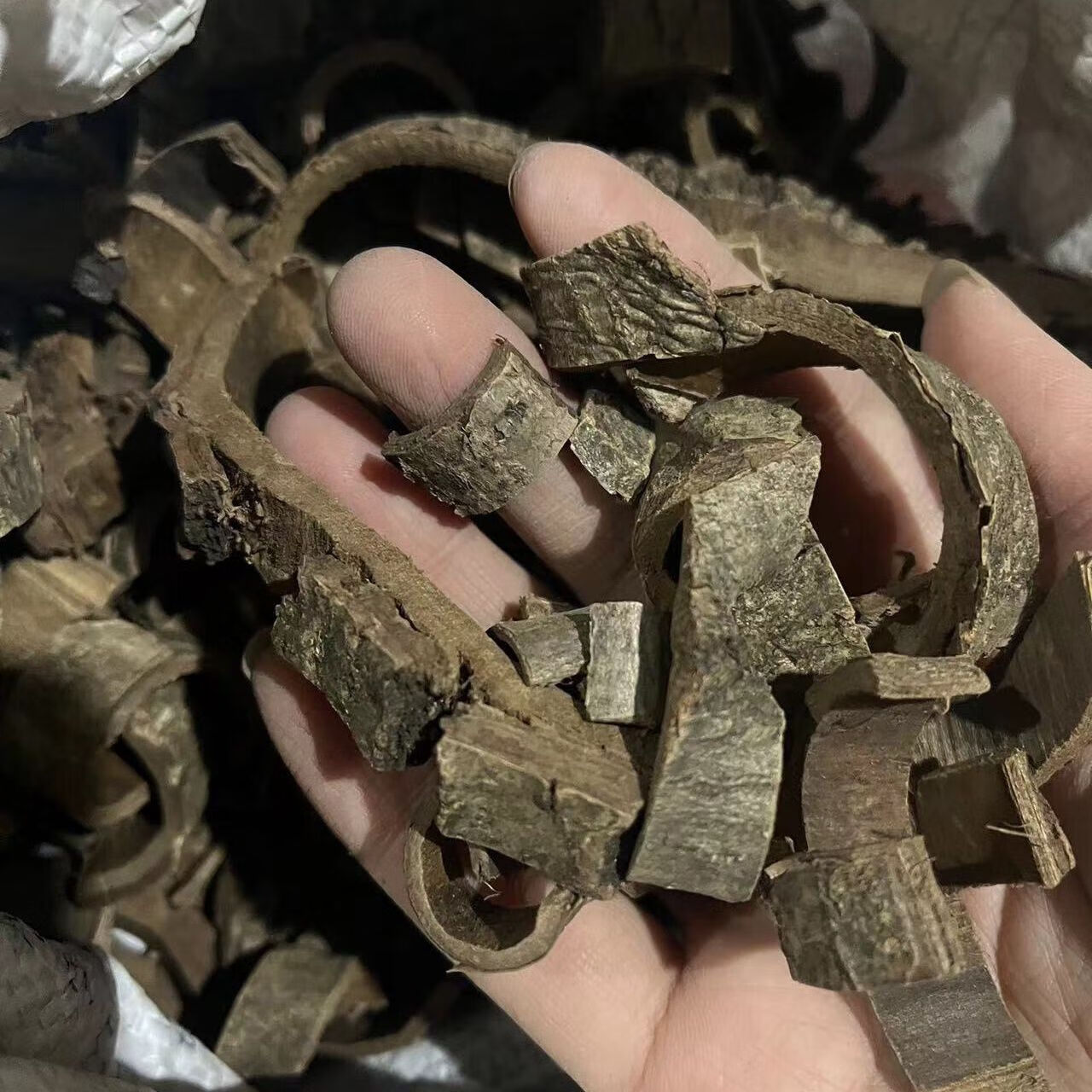 北京同仁堂中材核桃树皮核桃树外皮老核桃树皮晒干包邮 正宗核桃树皮