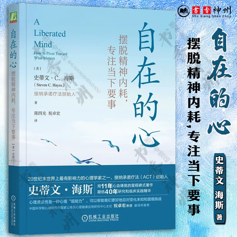 自在的心 摆脱精神内耗 专注当下要事 史蒂文 海斯 act疗法 摆脱情绪