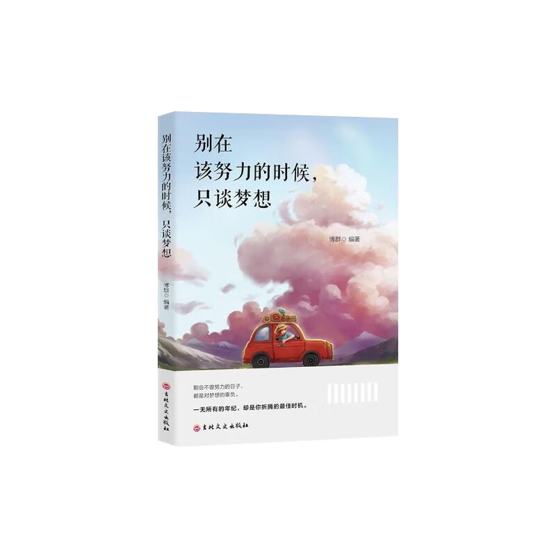 别在该努力的时候，只谈梦想详情图