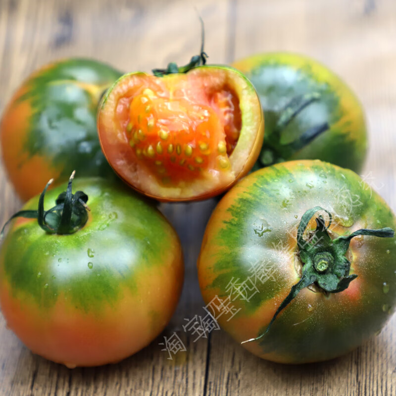 禾之润草莓番茄苗种铁皮柿子西红柿苗秧云南丹东油皮水果四季甜心盆栽