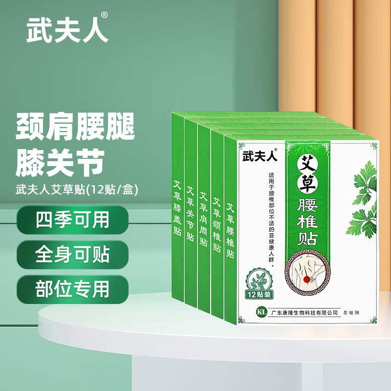 武夫人艾草贴艾艾叶贴颈椎肩周腰椎膝盖关节温灸发热膏贴中老年保暖贴膏 艾草膝盖贴10盒