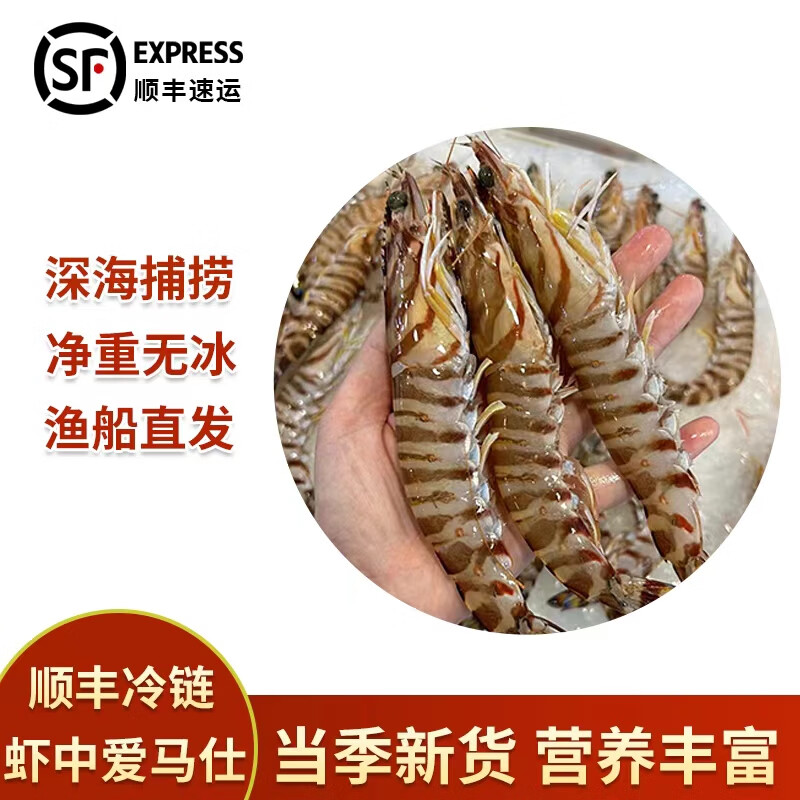 恒舜斑節(jié)蝦特大號九節(jié)蝦新鮮花蝦竹節(jié)蝦鮮活海鮮類基圍蝦大蝦海蝦鮮蝦 一斤裝（收到請及時(shí)冷凍保存） 1斤(凈重)  5-6只/斤（特大）