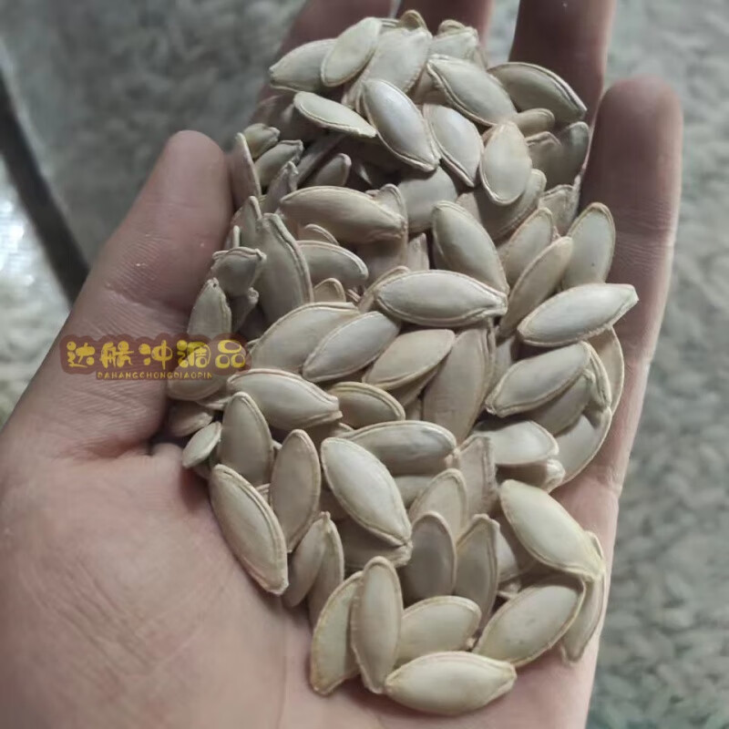 深生都生南瓜籽2024年新货 新疆货源生南瓜子新货中果新鲜美人甲瓜子