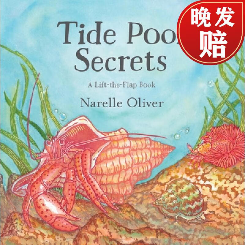 【4周达】tide pool secrets