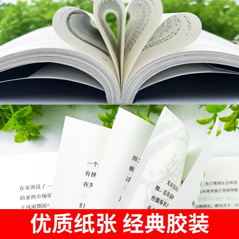 允许一切发生正版 真正强大的人允许一切发生 过不紧绷松弛的人生 给当下年轻人的治愈成长哲思书励志哲思书 【全2册】允许一切发生+人间值得详情图