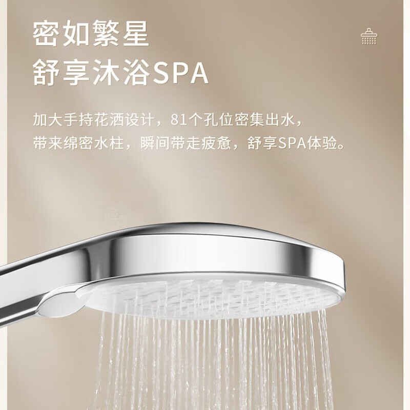 箭牌（ARROW）卫生间淋浴花洒喷头莲蓬头淋浴头手持花洒三功能易洁圆形手持花洒 三功能易洁手持花洒58132MCP