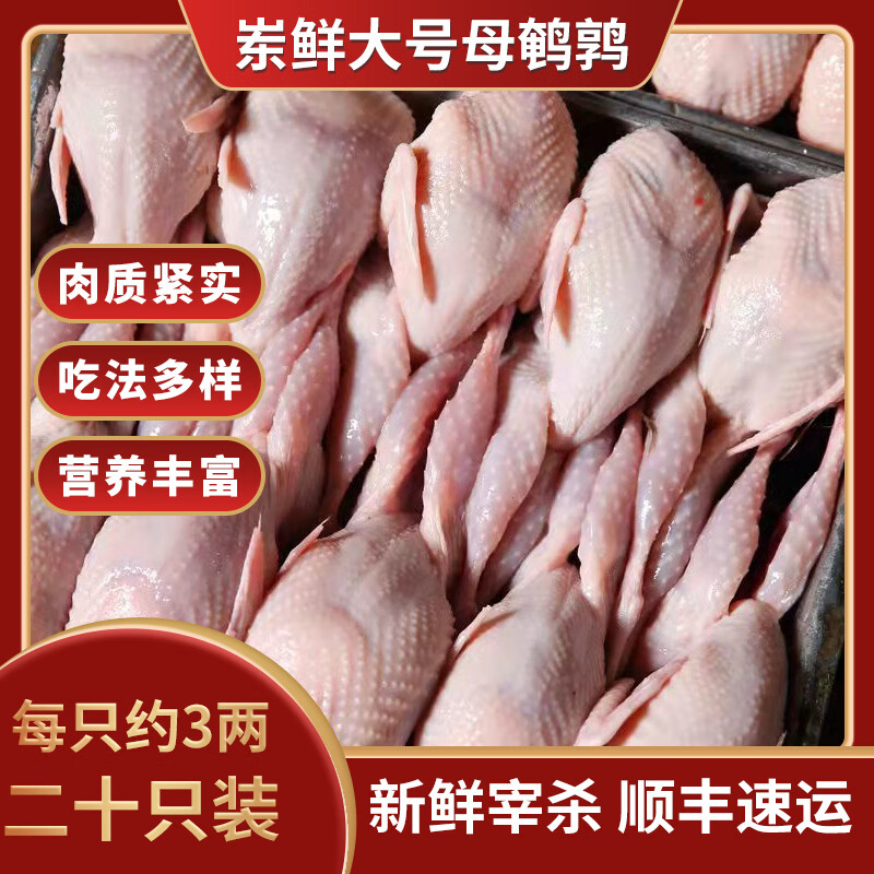 岽鲜鹌鹑 白条鹌鹑整只 冷冻生鲜鹌鹑肉骨小肉多肉鲜炖汤红烧油炸烧烤 肉鹌鹑 20只