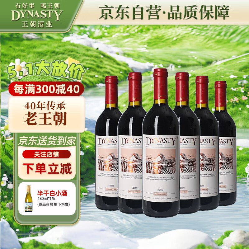 王朝（DYNASTY）干红葡萄酒二代750ml*6瓶 整箱装国产红酒送礼