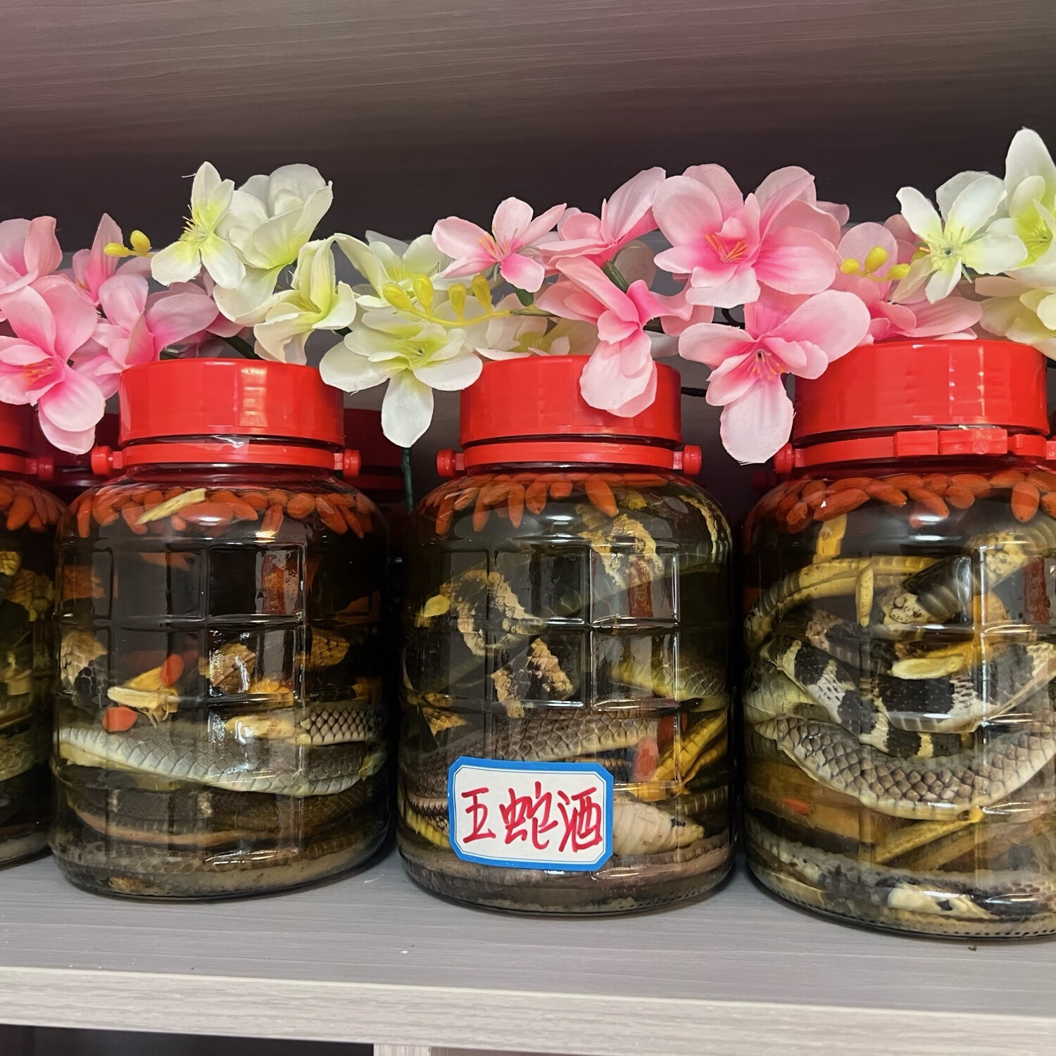 五蛇酒五斤装(带蛇整罐发) 金环银环眼镜榕蛇水律五种蛇