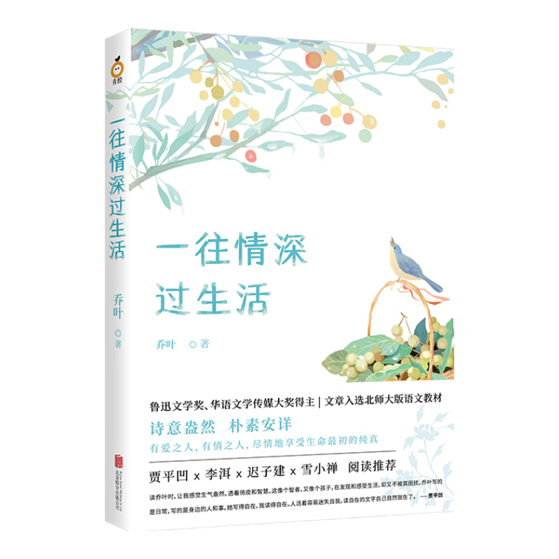 一往情深过生活