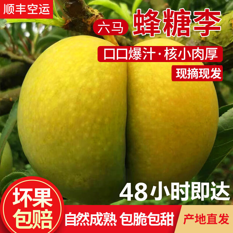 鲜美惊顺丰空运 正宗贵州镇宁六马蜂糖李新鲜水果大果李子脆甜多汁 3