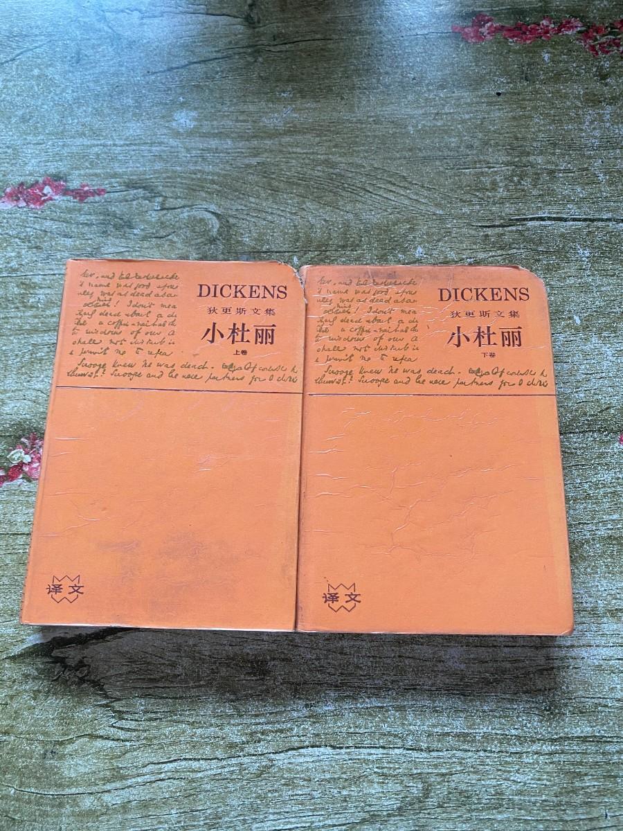 [二手9成新] 狄更斯文集小杜丽 {上下} 实物拍摄 看图