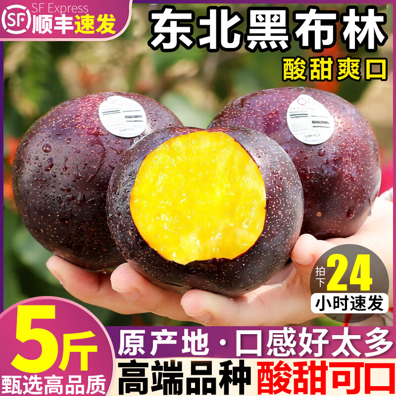 东北新鲜黑布林李子大果5斤应季整箱脆黑金刚孕妇水果 3斤【a 精选大