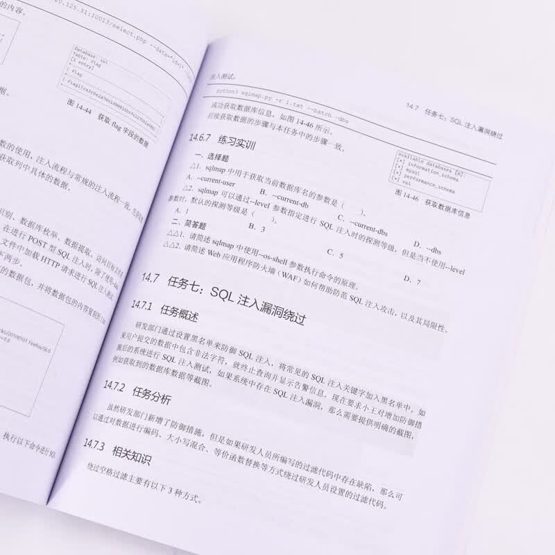 Web应用安全（异步图书出品）详情图