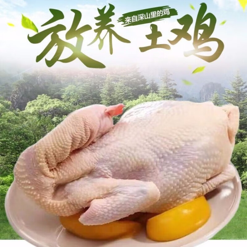 铭语然新鲜现杀散养2年老母鸡冷冻草鸡柴鸡月子鸡跑山鸡 现杀两只装5