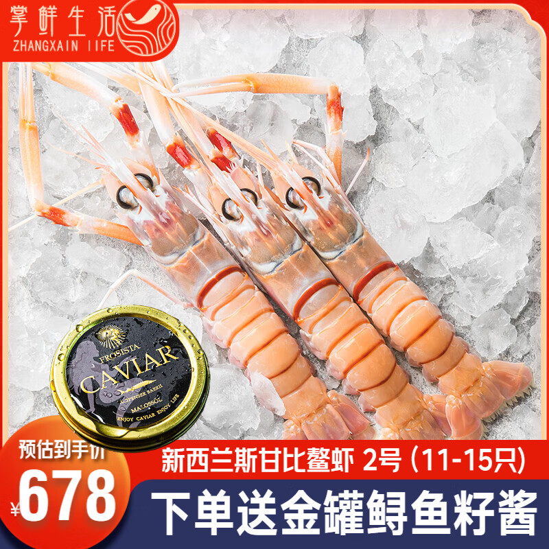 掌鲜生活新西兰进口南极鳌虾 1KG SCAMPI斯干比虾特大甜虾刺身深海牡丹虾 鳌虾2号(11-15只)