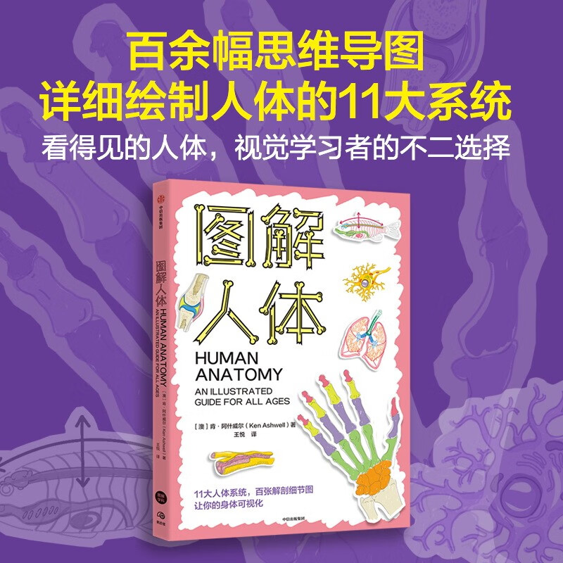 自营 图解人体 11个主题 10大人体系统 百张细节解剖图让你的身体可视化 初高中生物 学科兴趣 人体解剖 中信出版社