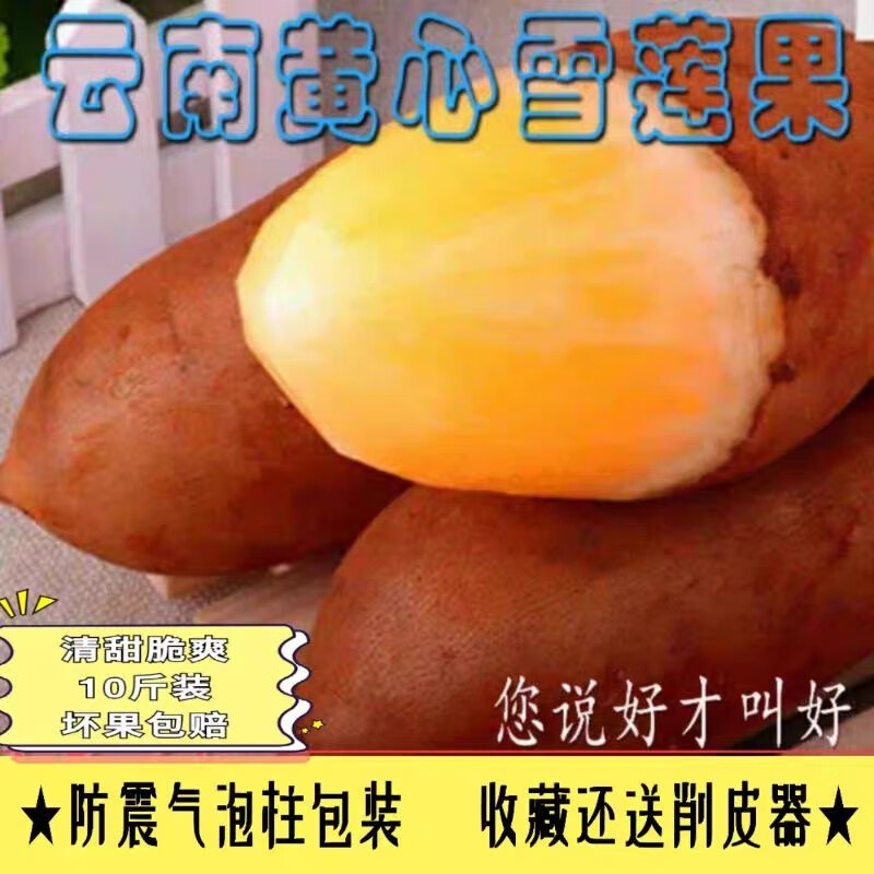 天山雪莲果新鲜带箱10斤红泥沙现挖脆甜当季水果 4500g 中果气柱装