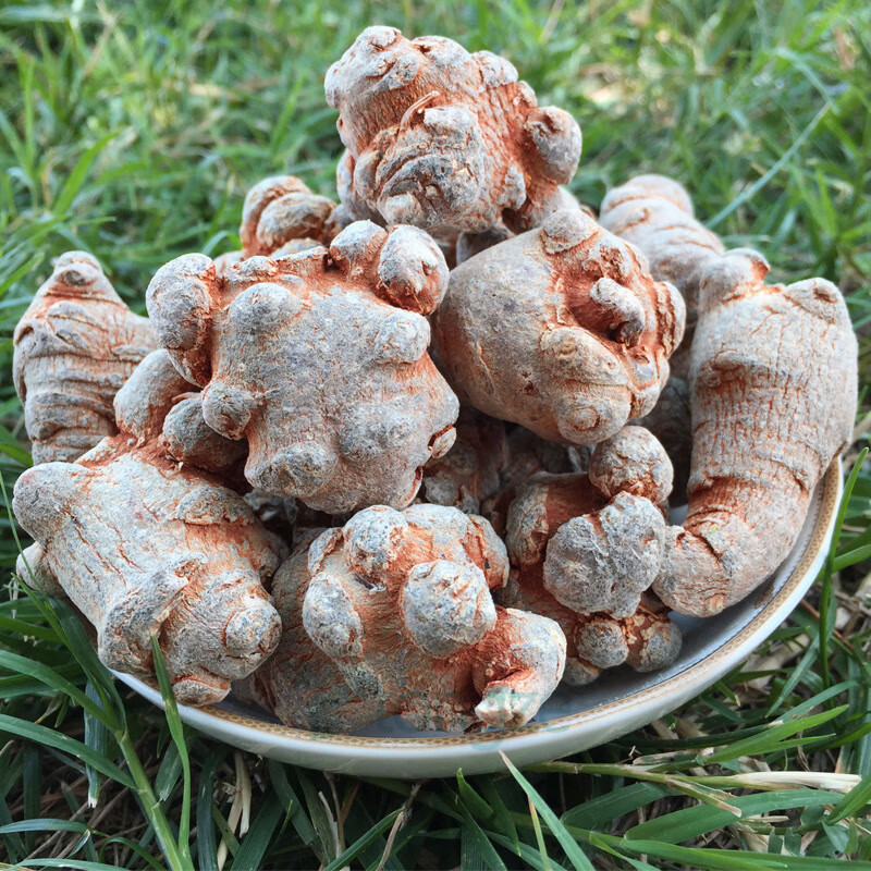 端午节文山三七云南产地文山春三七 免费代磨三七粉切片 15头(不带剪