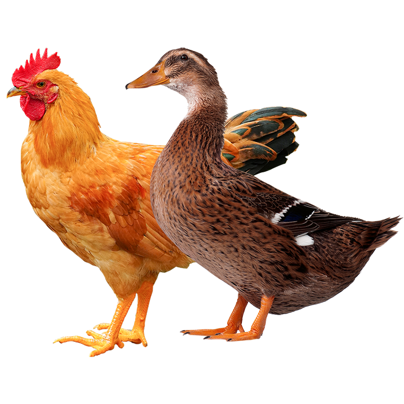 �ʿ������ѼС������� ����3�Ｐ���� ��Ѽ����Ѽ��Դͷֱ������ 176Ԫ