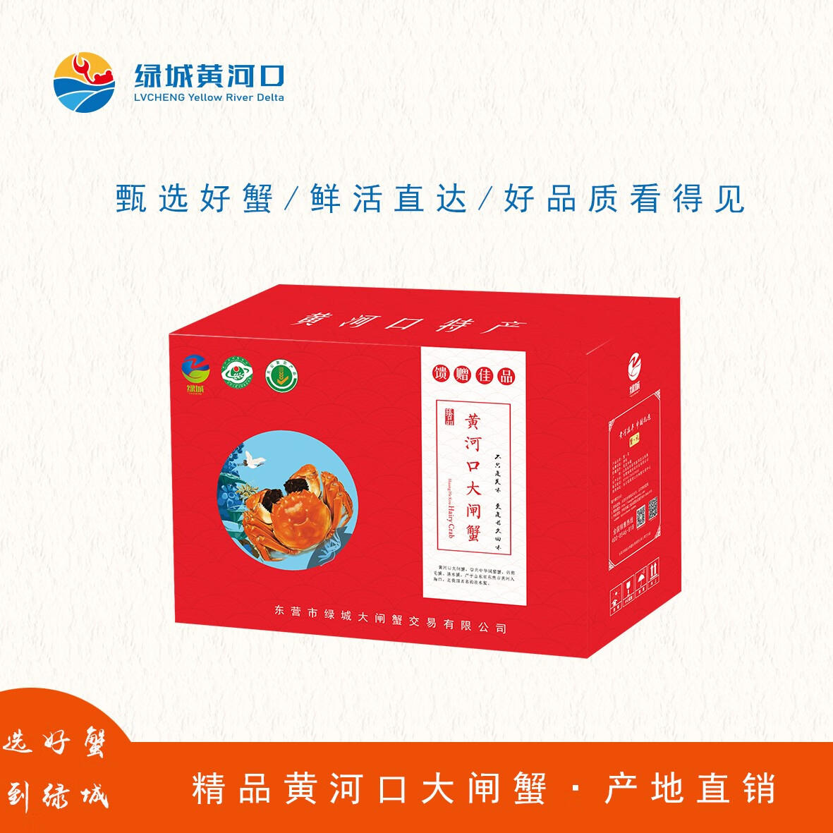 活蟹绿城黄河口特产大闸蟹礼盒10只装山东黄河口特产 3两【公5只】2两