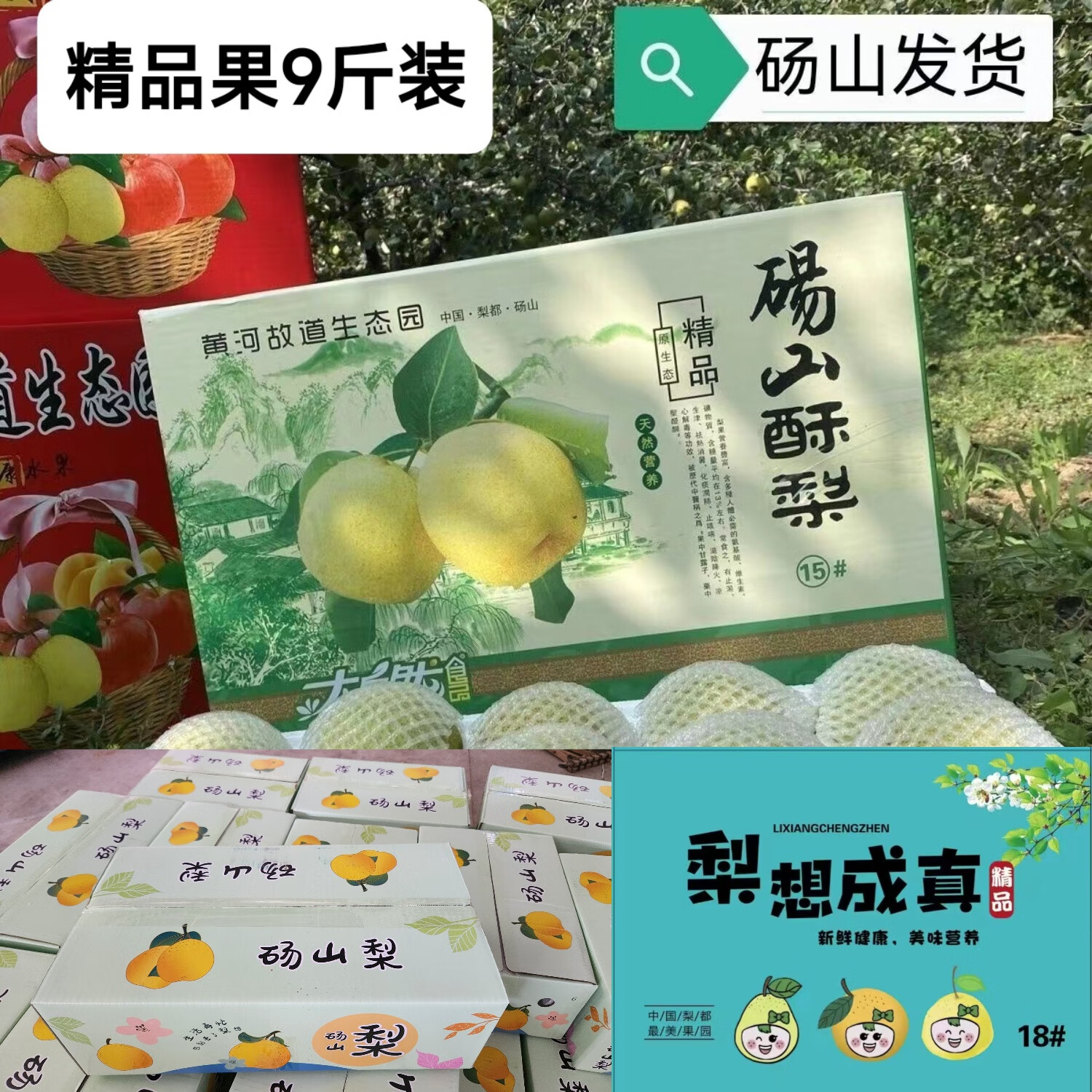 正宗安徽砀山酥梨 砀山梨  酥梨止咳润喉 梨子水果 [9斤]精品果彩箱装