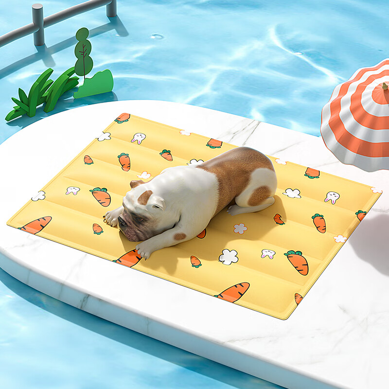 �������������ˮ�������ļ�����è��������ϯ̩�Ͻ�ë��С��Ȯ����� ���ܲ��� L�� 45*60cm