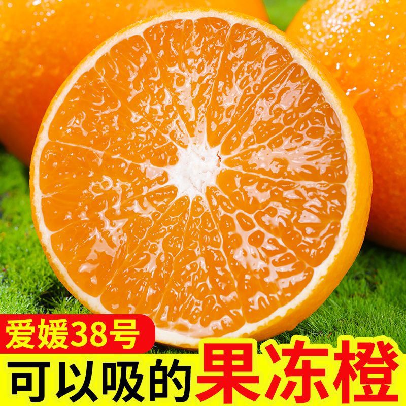 【彩箱】正宗四川爱媛38号果冻橙手剥橙新鲜应季水果非脐橙耙耙柑 正宗爱媛果冻橙【精选彩箱+泡沫托】 净重8斤【果径65mm+】中果
