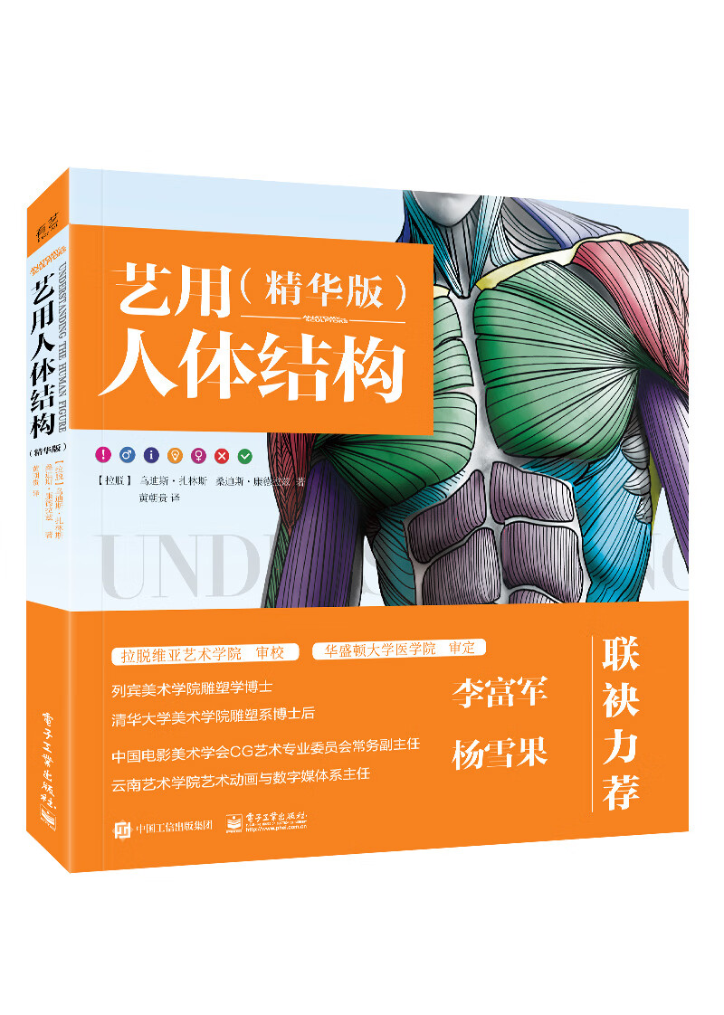 肌肉造型解剖学基础教程动漫素描书入门教材伯里曼人体结构教学书籍