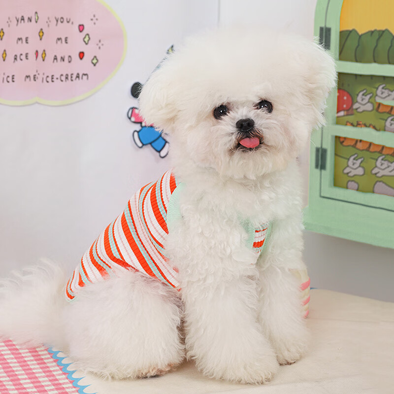 泰迪夏季背心 时尚彩条背心-弹力舒适 xs:胸围32cm【建议2-3斤】模特