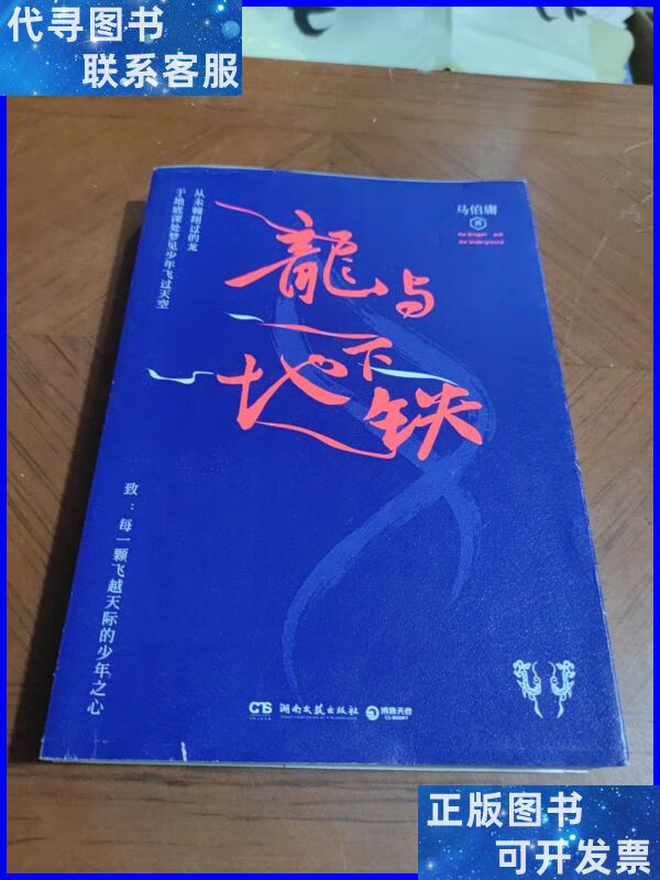 龙与地下铁 湖南文艺出版社二手书
