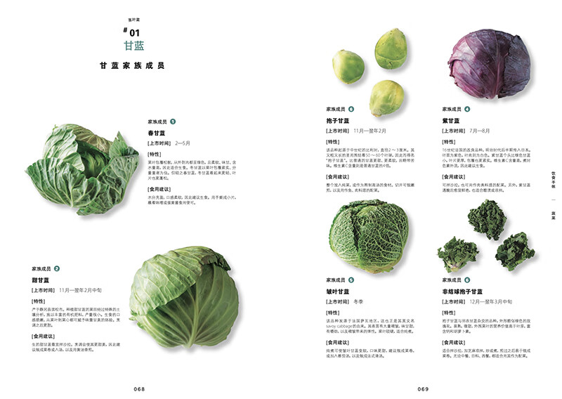正版 蔬菜 饮食手帐系列 108种蔬菜的吃法  27款绿色健康食谱 素食