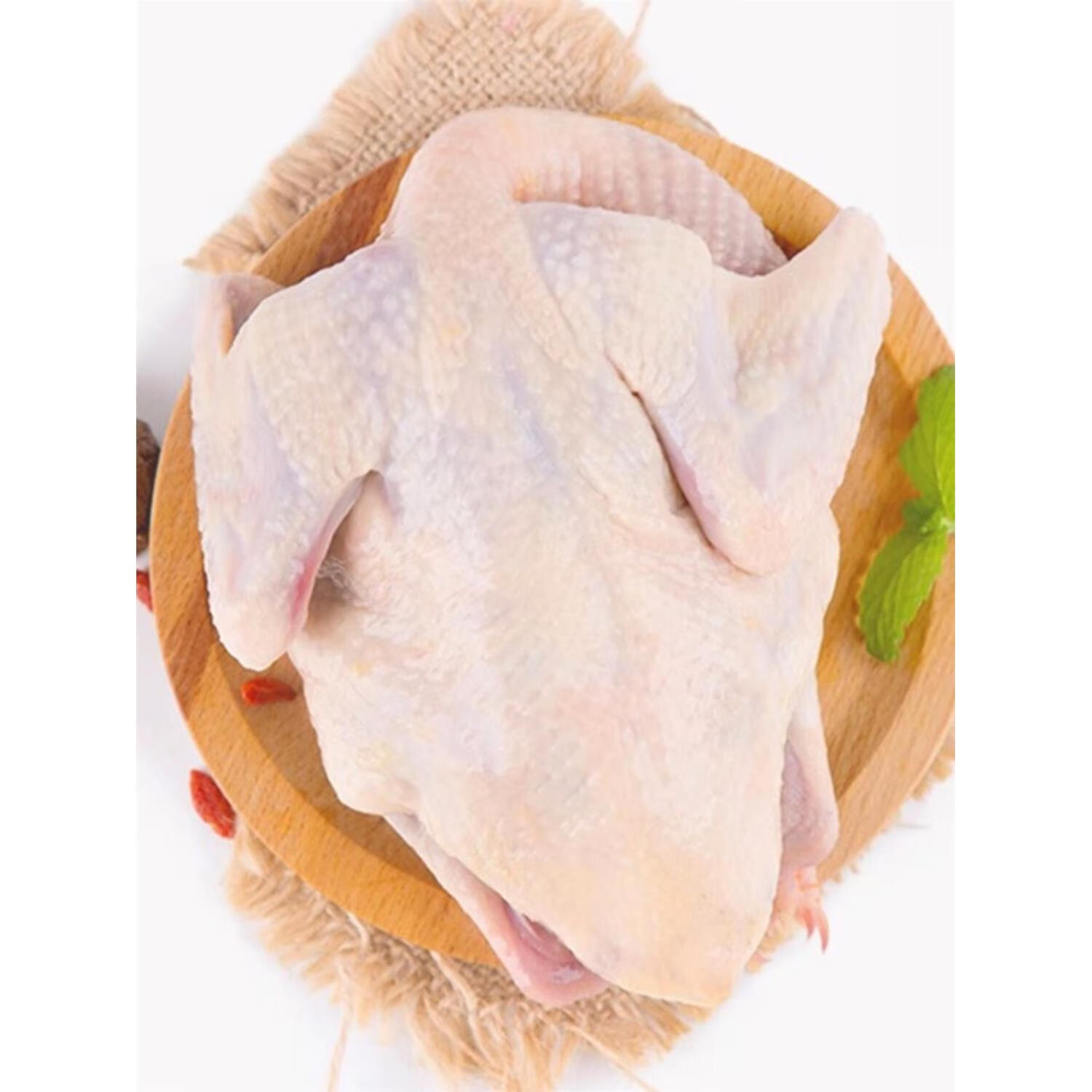 5年老鸽子新鲜现杀3只装农家散养杂粮白鸽土乳鸽子