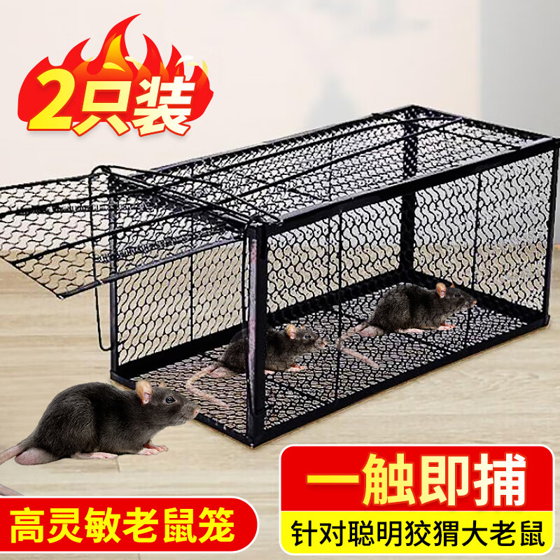 KOOGIS��������2ֻװ ��������һ�Ѷ�������׽ץ��������������������