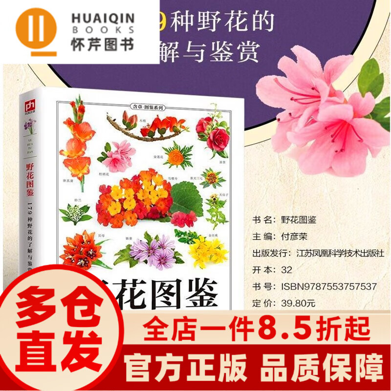 hq 野花图鉴野花图鉴野花的基本知识从生活形态植物形