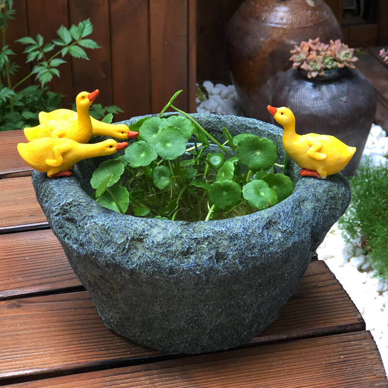 楚锦楚锦520创意动物铜钱草水培碗莲花盆无孔仿石臼鸭子个性花园桌面