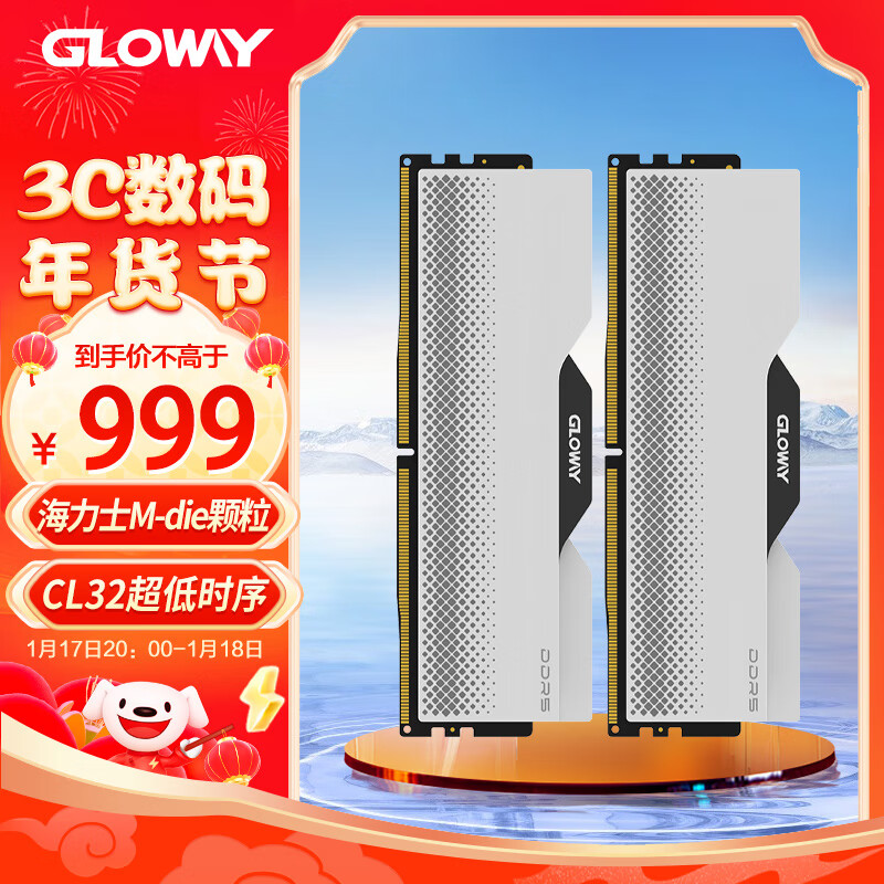 光威（Gloway）48GB(24GBx2)套装 DDR5 6800 台式机内存条 龙武系列 海力士M-die颗粒 CL34