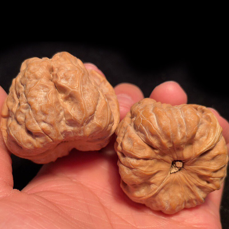 山中玉 文玩核桃 蛤蟆头 一物一图 实拍狮子头 延庆涞水平小众品种大