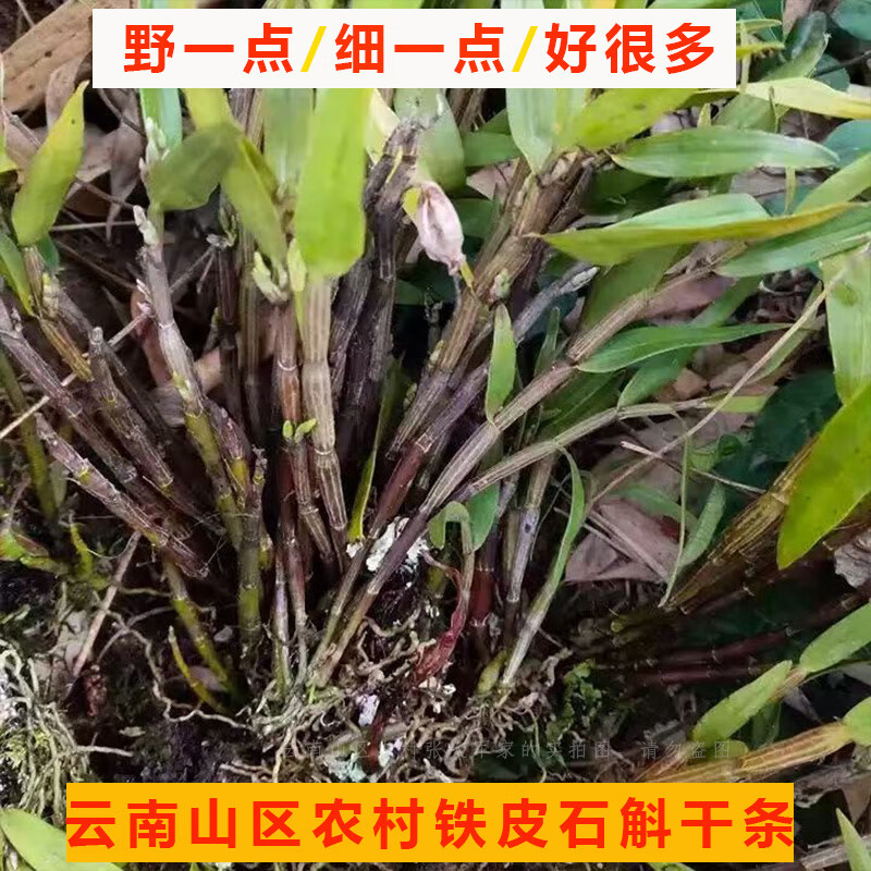 云南山区铁皮石斛干条源头产地铁皮石斛晒干条5年以上石斛条晒干 5年以上石斛条晒干1斤（500克）