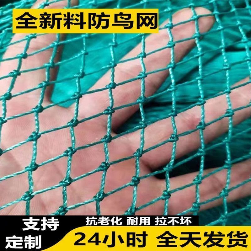 康鸿麻雀捕捉自动网果园防鸟网樱桃葡萄草莓大棚尼龙线防鸟网养鸡围栏