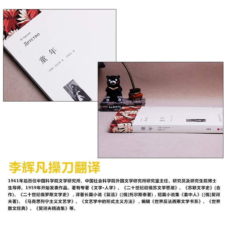 【严选】童年高尔基初中生青少年版中小学生课外小说经典文学 童年