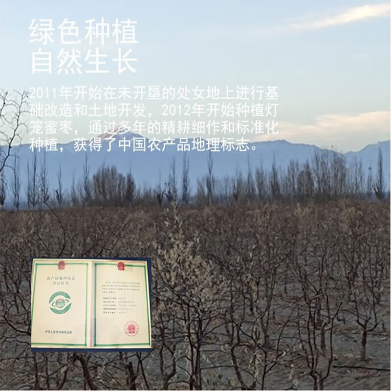亚通古孜新疆和田大枣一级红枣礼盒灯笼蜜枣 免洗孕妇老人补气血健康零食 灯笼蜜枣一级果260克